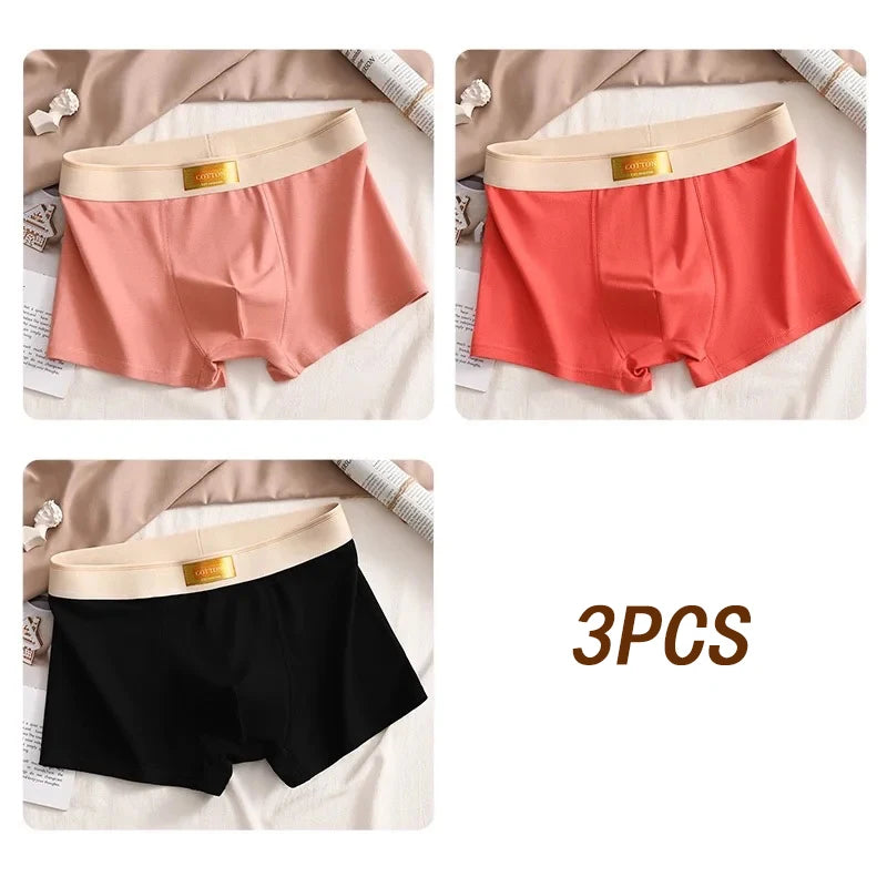 3pcs Colored Cotton Breathable Mens Briefs