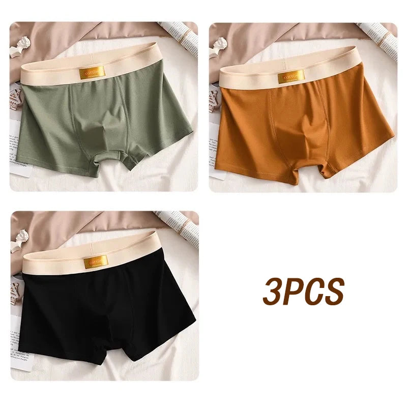 3pcs Colored Cotton Breathable Mens Briefs