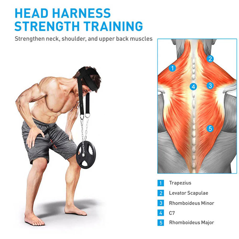 Adjustable Head/Neck Training Harness