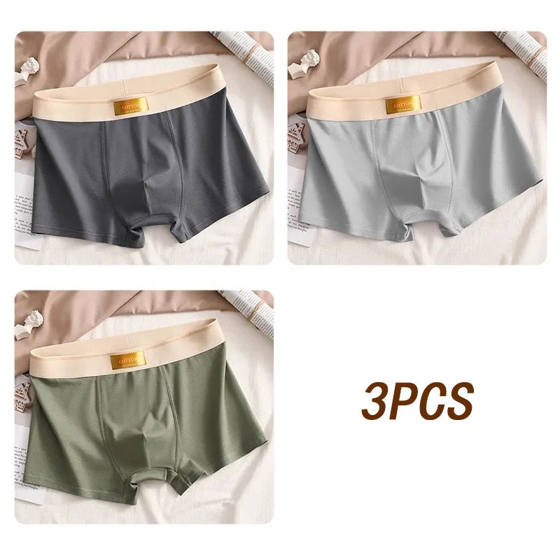 3pcs Colored Cotton Breathable Mens Briefs