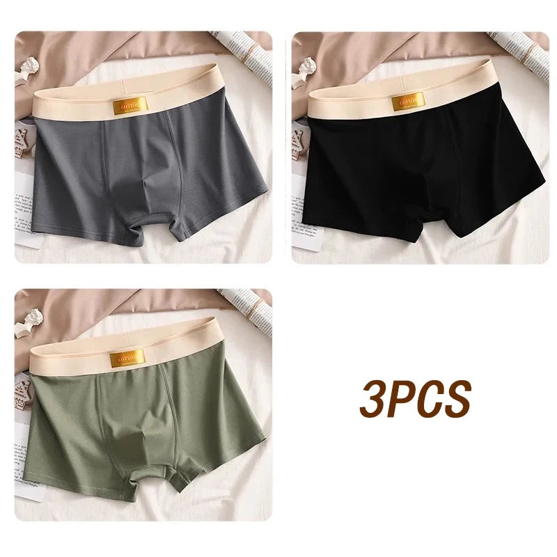 3pcs Colored Cotton Breathable Mens Briefs