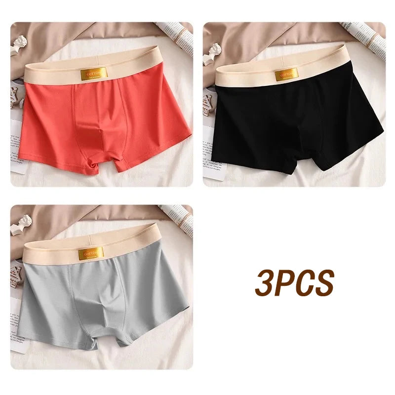 3pcs Colored Cotton Breathable Mens Briefs