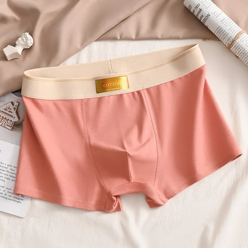 3pcs Colored Cotton Breathable Mens Briefs