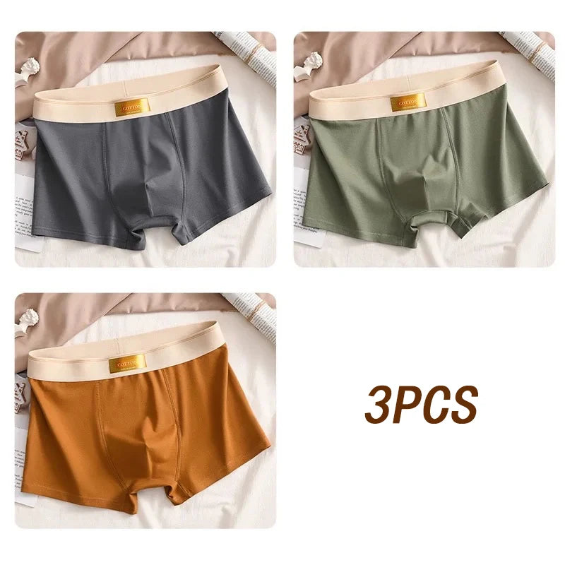 3pcs Colored Cotton Breathable Mens Briefs