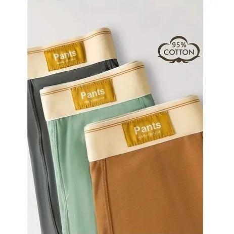 Colored Cotton Breathable Mens Briefs