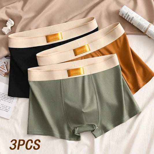 3pcs Colored Cotton Breathable Mens Briefs
