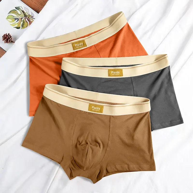 Colored Cotton Breathable Mens Briefs