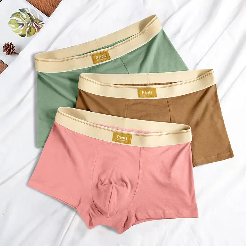 Colored Cotton Breathable Mens Briefs