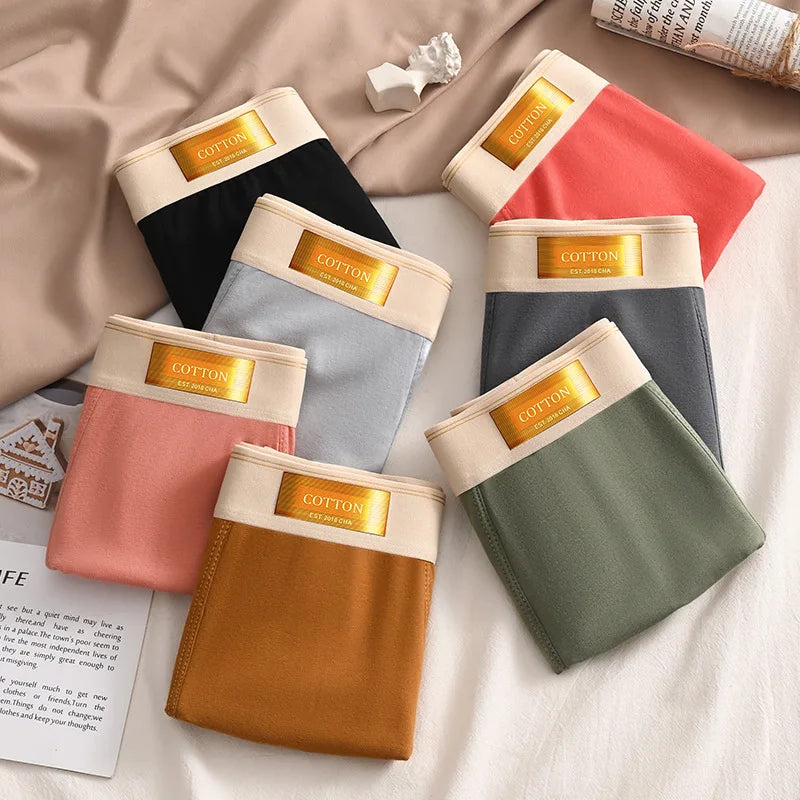 3pcs Colored Cotton Breathable Mens Briefs
