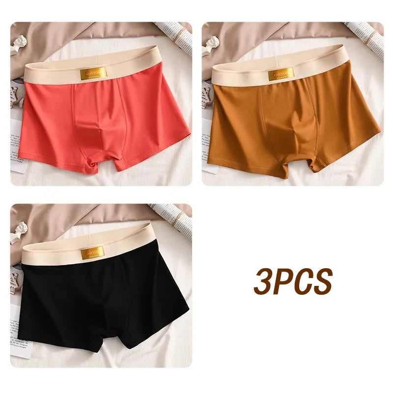 3pcs Colored Cotton Breathable Mens Briefs