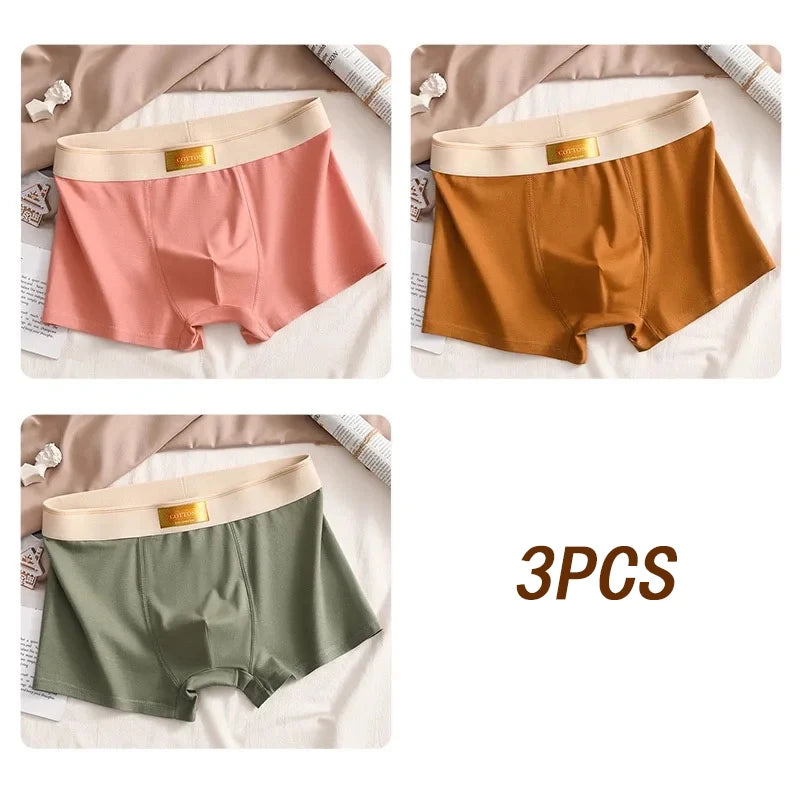 3pcs Colored Cotton Breathable Mens Briefs