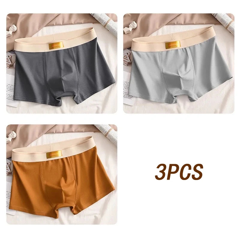 3pcs Colored Cotton Breathable Mens Briefs