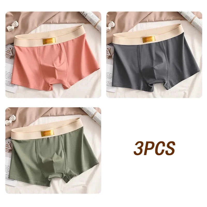 3pcs Colored Cotton Breathable Mens Briefs