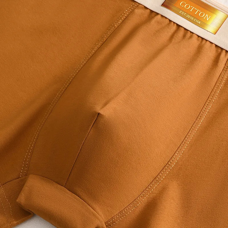 3pcs Colored Cotton Breathable Mens Briefs