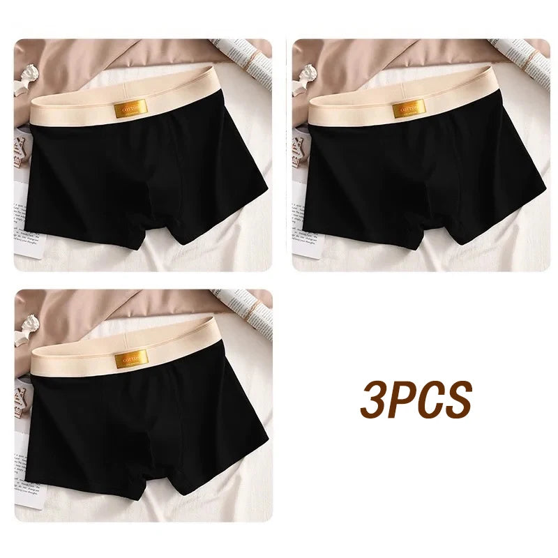 3pcs Colored Cotton Breathable Mens Briefs